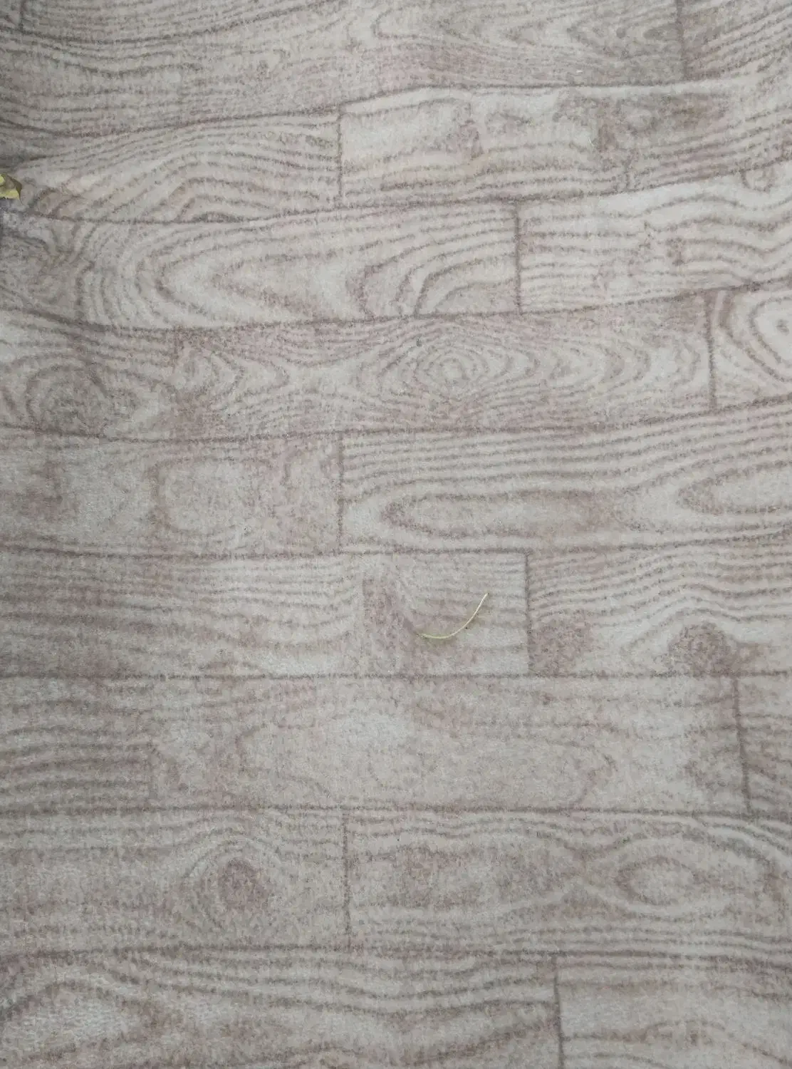 موکت درحد نو نو|موکت|نقده, |دیوار