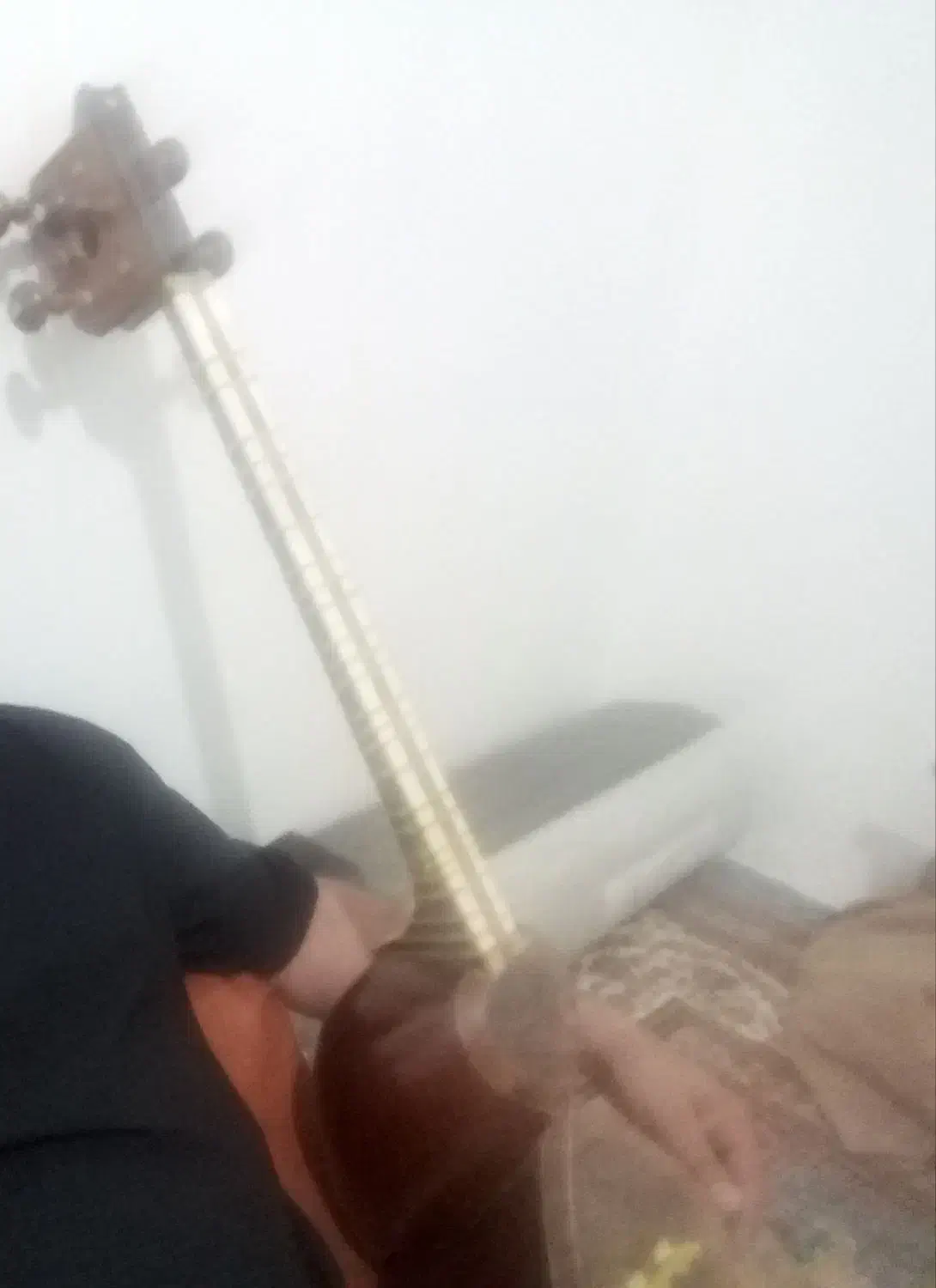 فروش تار خوش صدا|سازهای سنتی|شیراز, فرهنگ شهر|دیوار