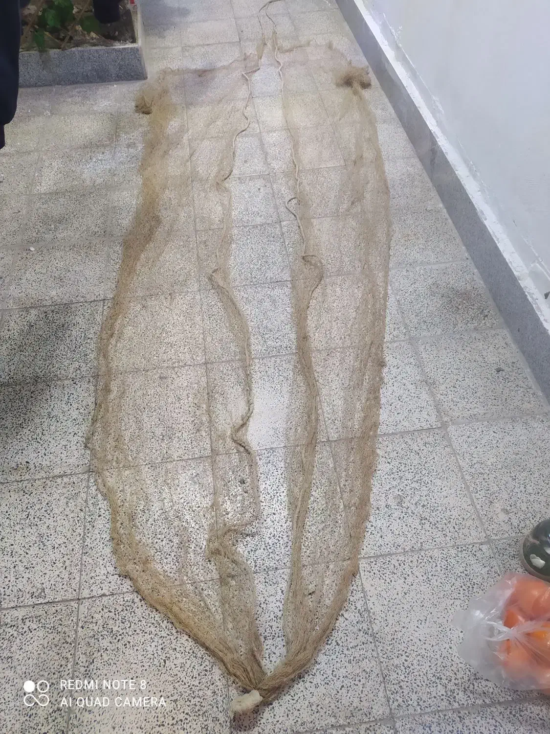 سره|ماهیگیری|همدان, |دیوار