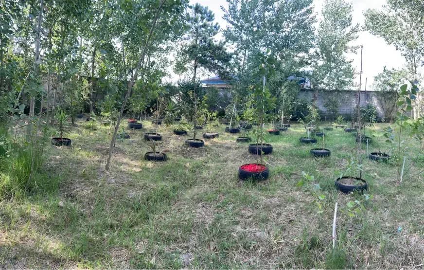 زمین مسکونی جاده انزلی۶۵۰ متری|فروش زمین و ملک کلنگی|رشت, انصاری|دیوار