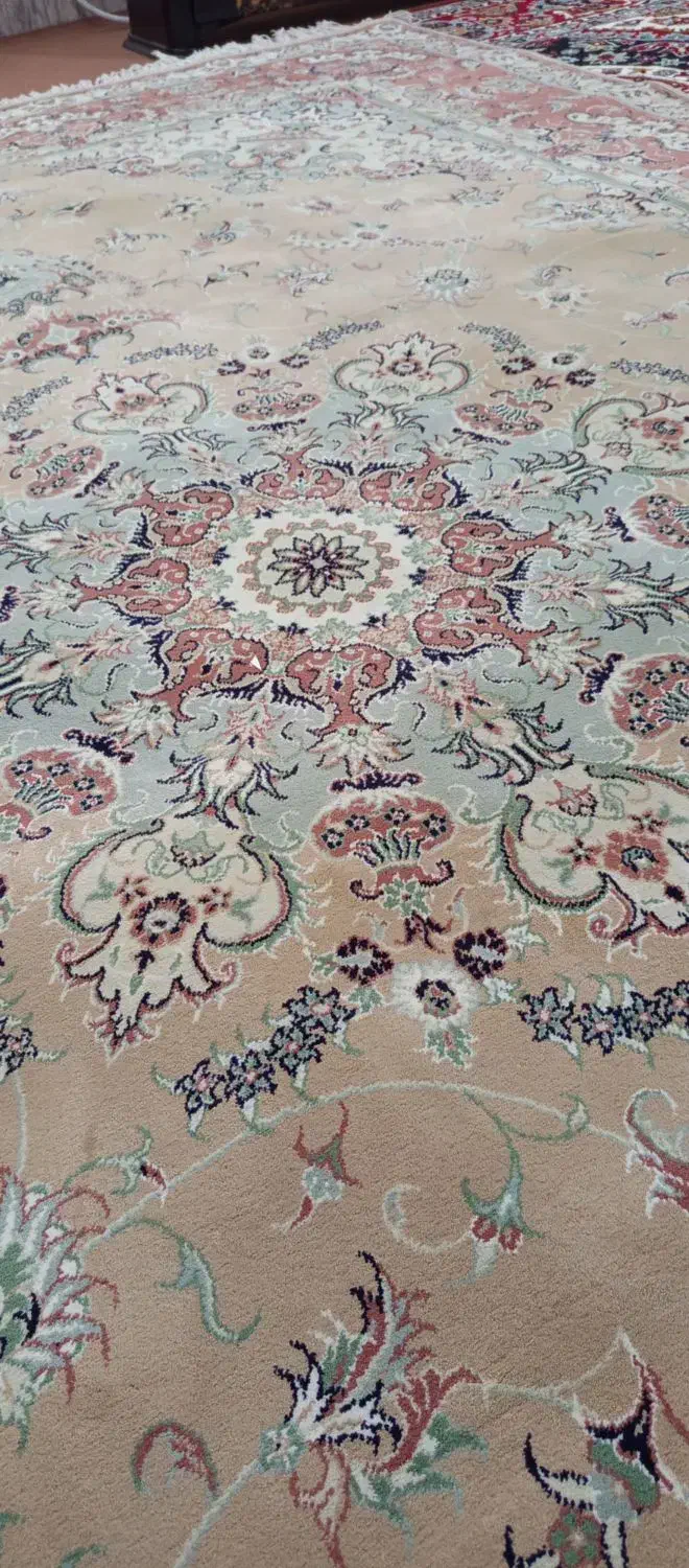 فروش فوری|فرش|مشکین‌دشت, |دیوار