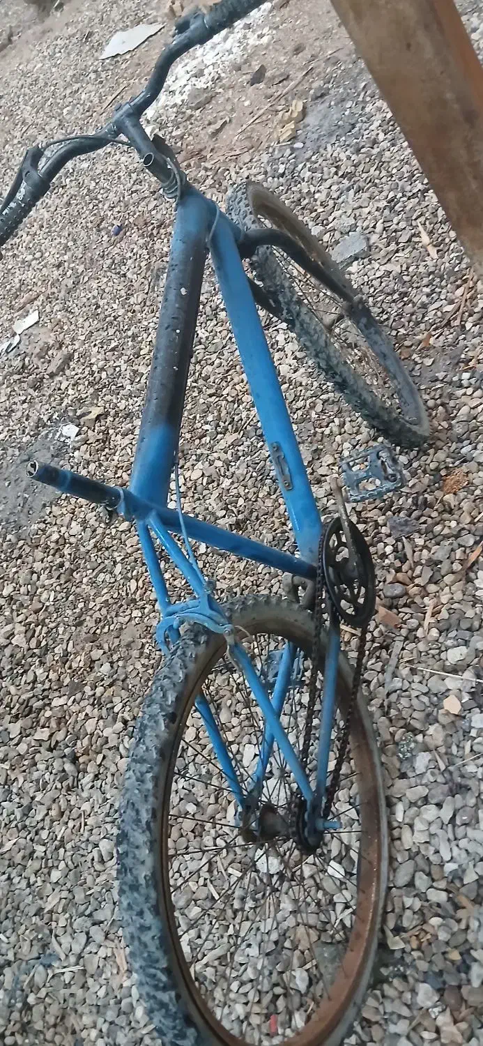 دوچرخه ۲۶|دوچرخه، اسکیت، اسکوتر|اهواز, پردیس|دیوار