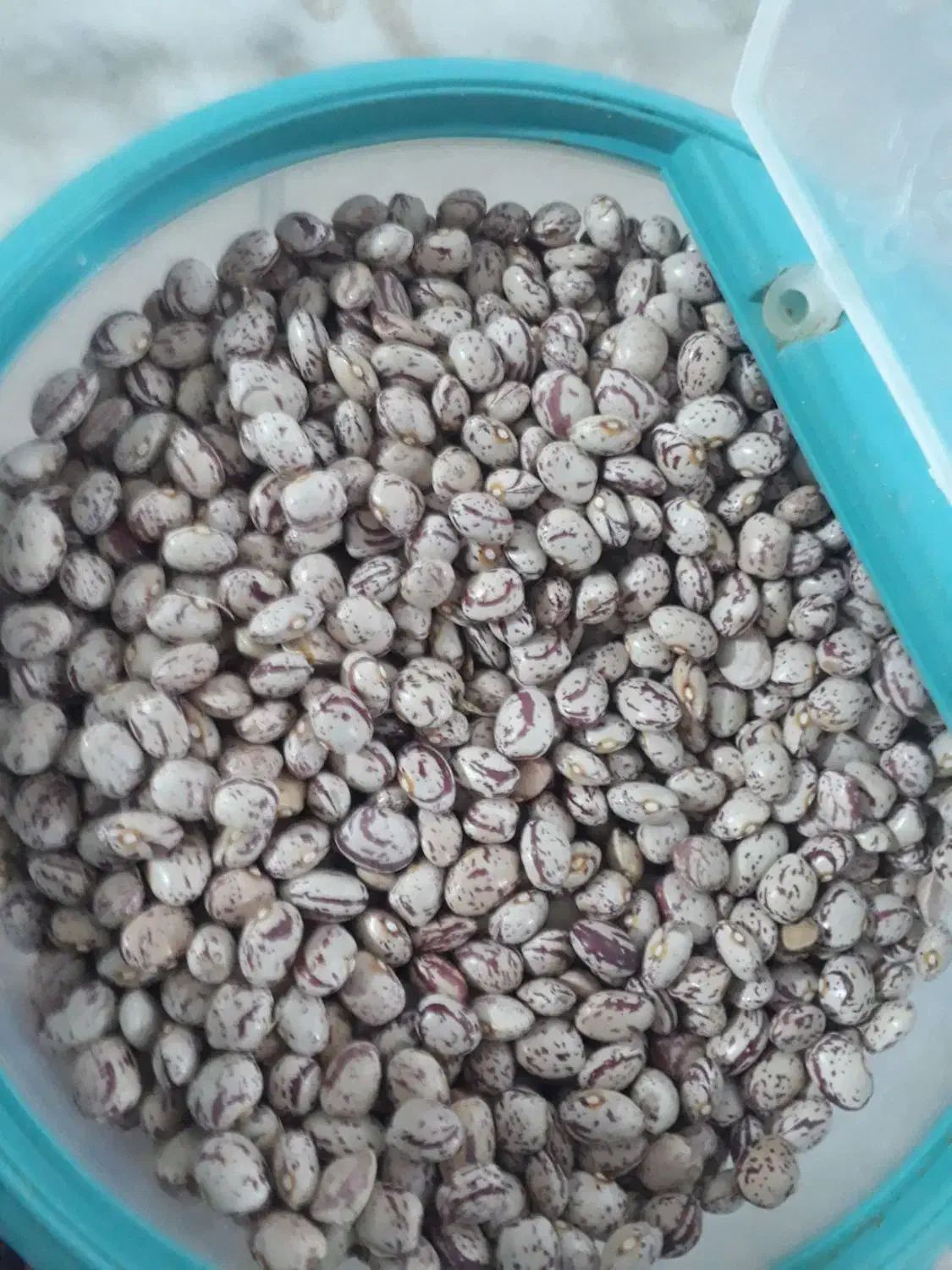 لوبیا چیتی خوش پخت امسالی|خوردنی و آشامیدنی|تهران, هلال احمر|دیوار