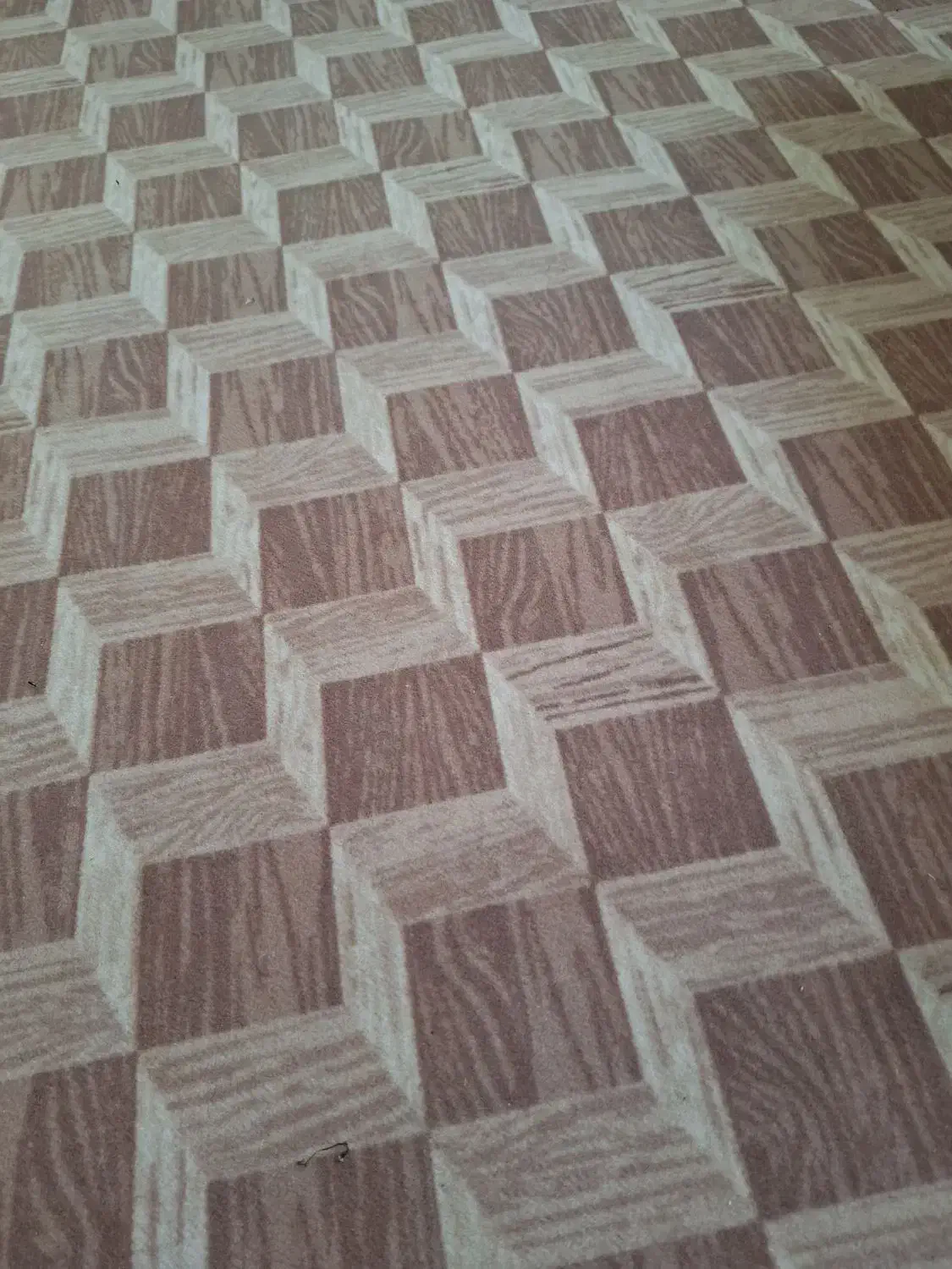 ۶۰متر موکت نو یک ماه استفاده شده|موکت|گرمسار, |دیوار