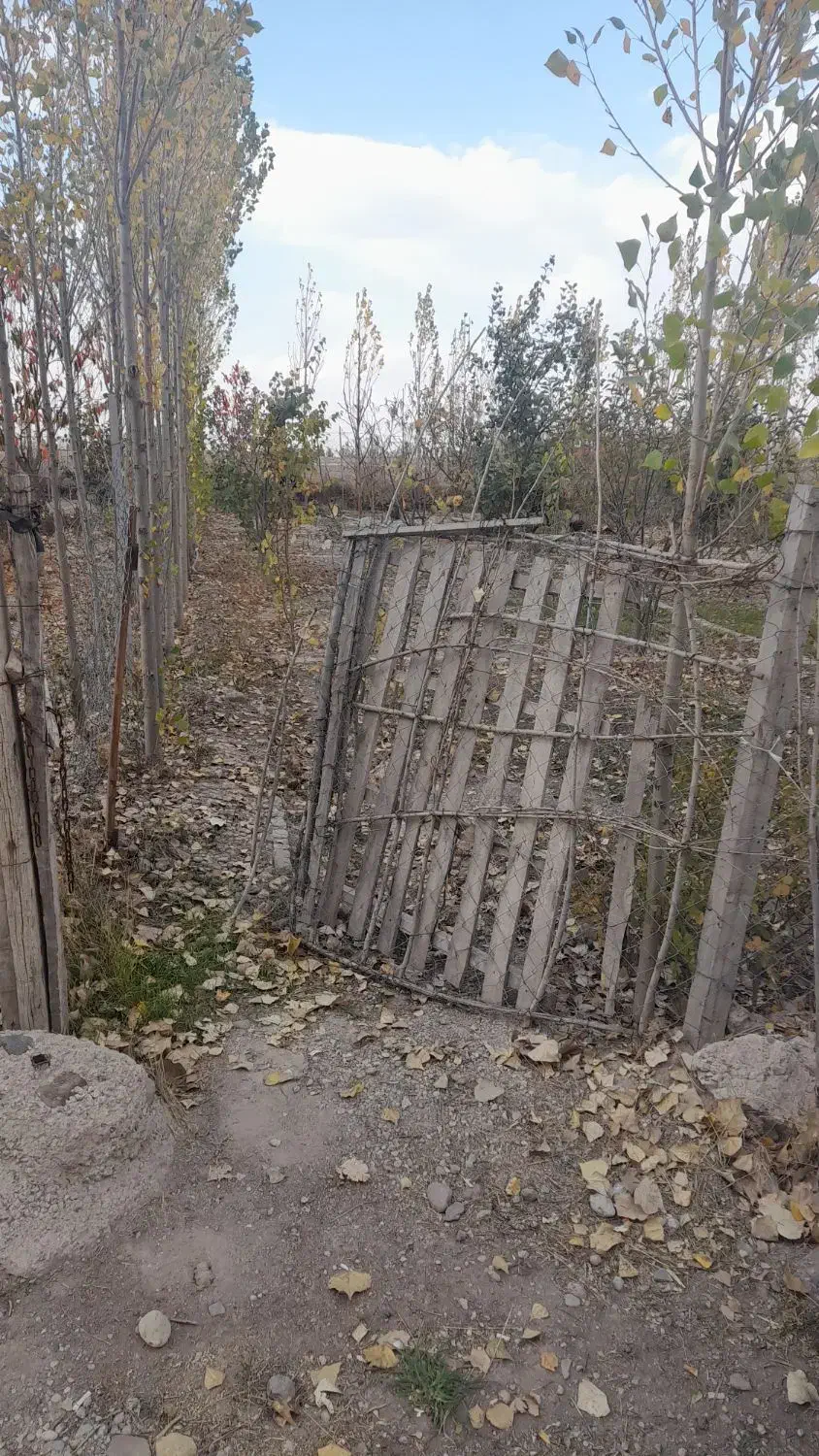 باغ واقع در اخر گلمغان|فروش زمین و ملک کلنگی|اردبیل, |دیوار