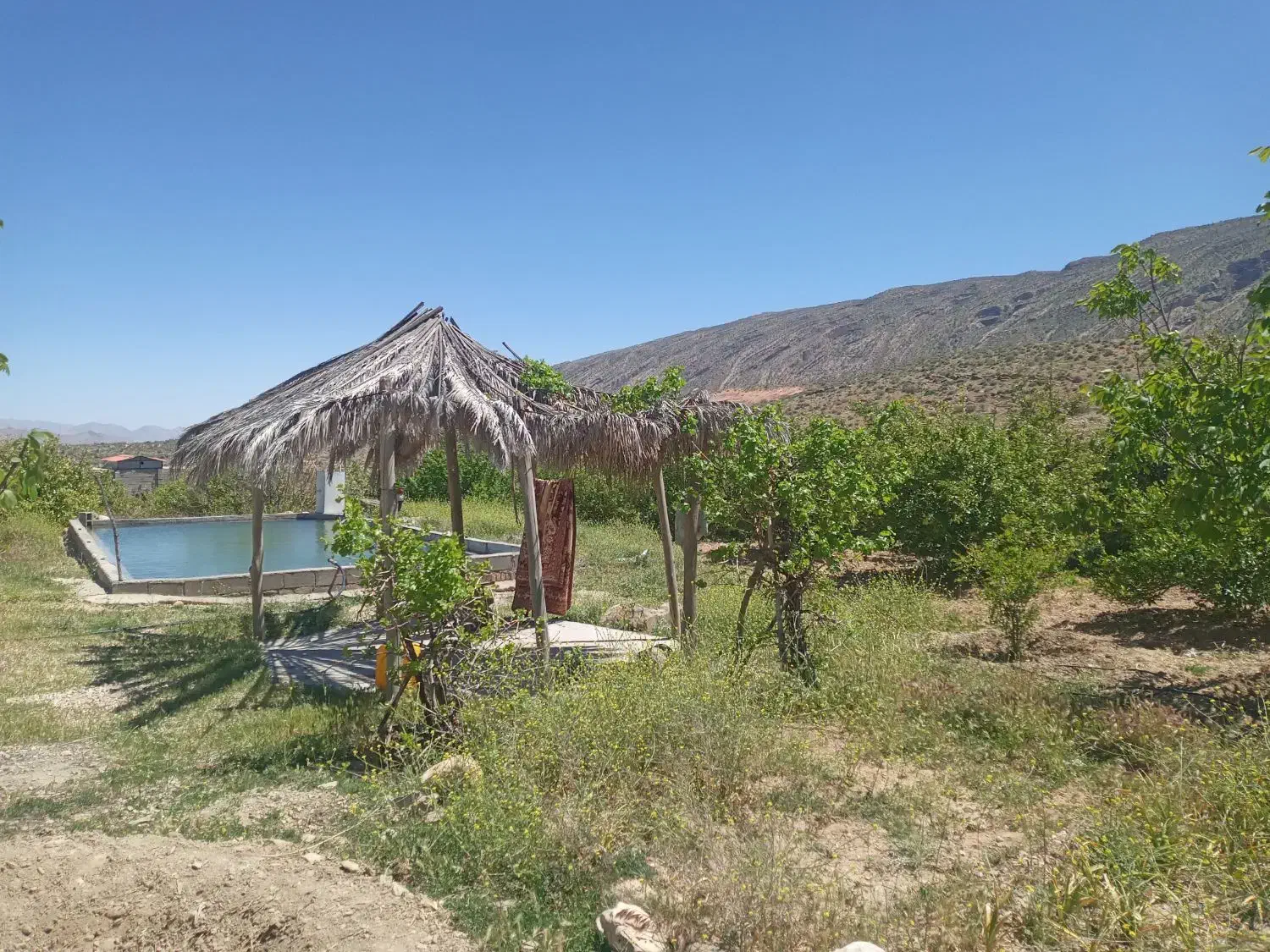 باغ با استخر و خانه در ملوان خفر|فروش خانه و ویلا|خفر, |دیوار