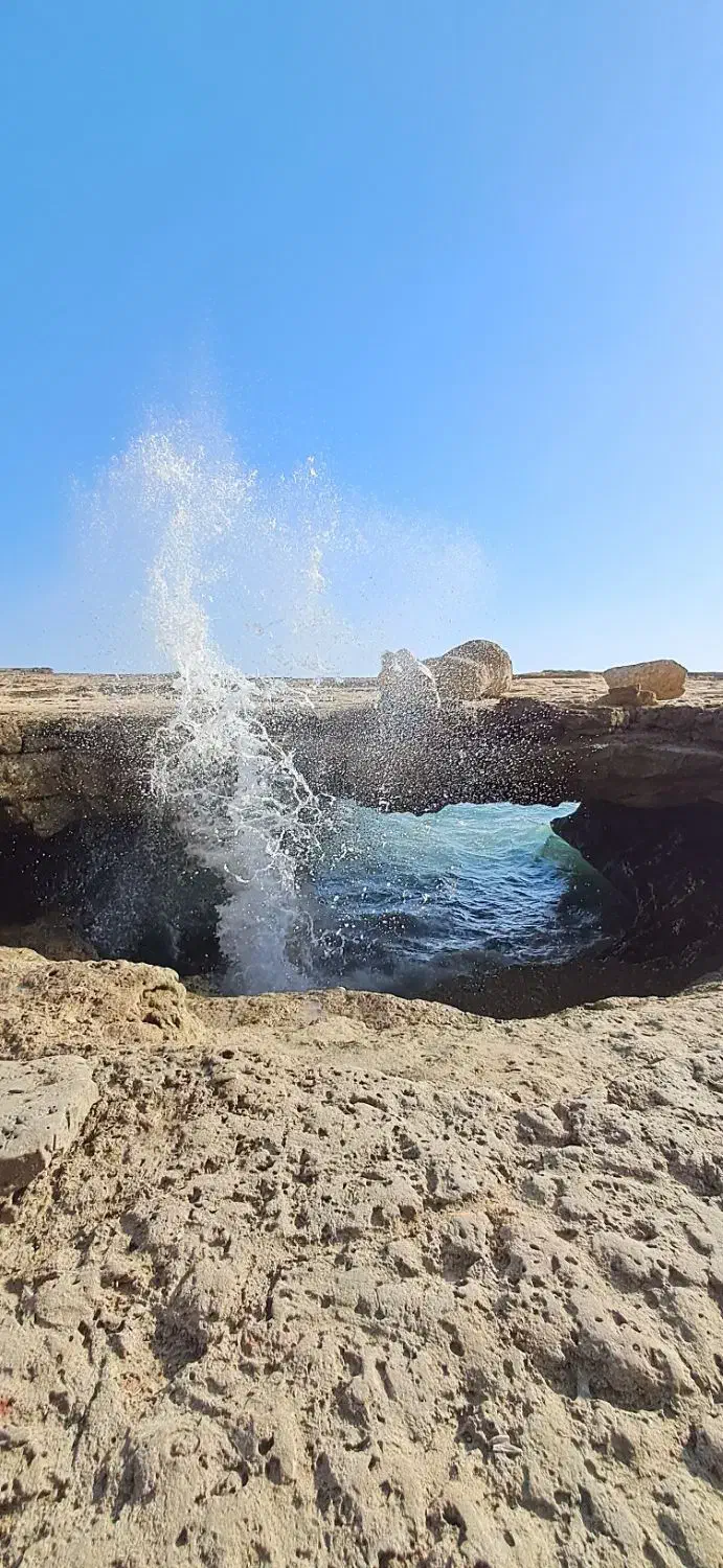 تاکسی گردشگری|تور و چارتر|چابهار, |دیوار