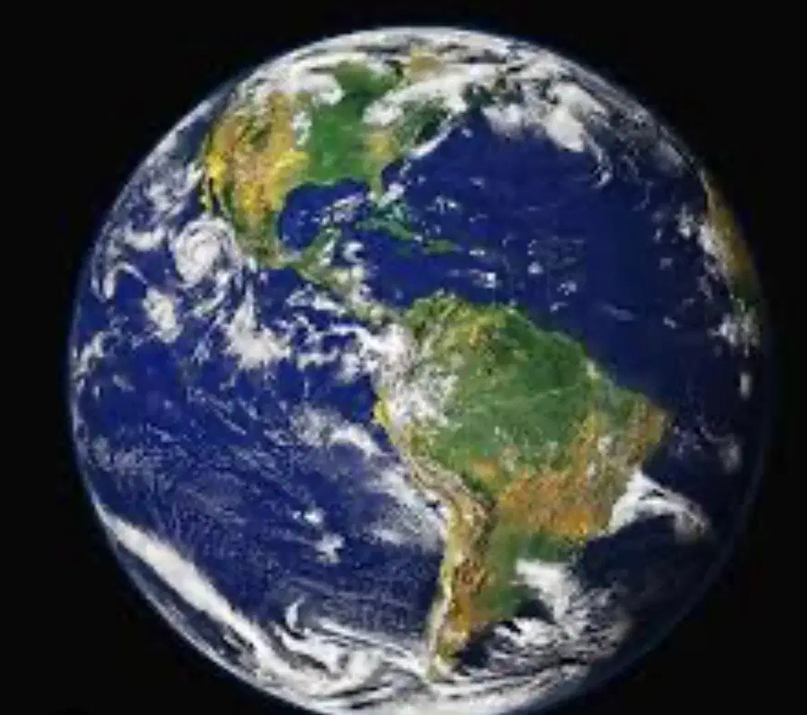 زمین برنج کاری|فروش زمین و ملک کلنگی|چرام, |دیوار