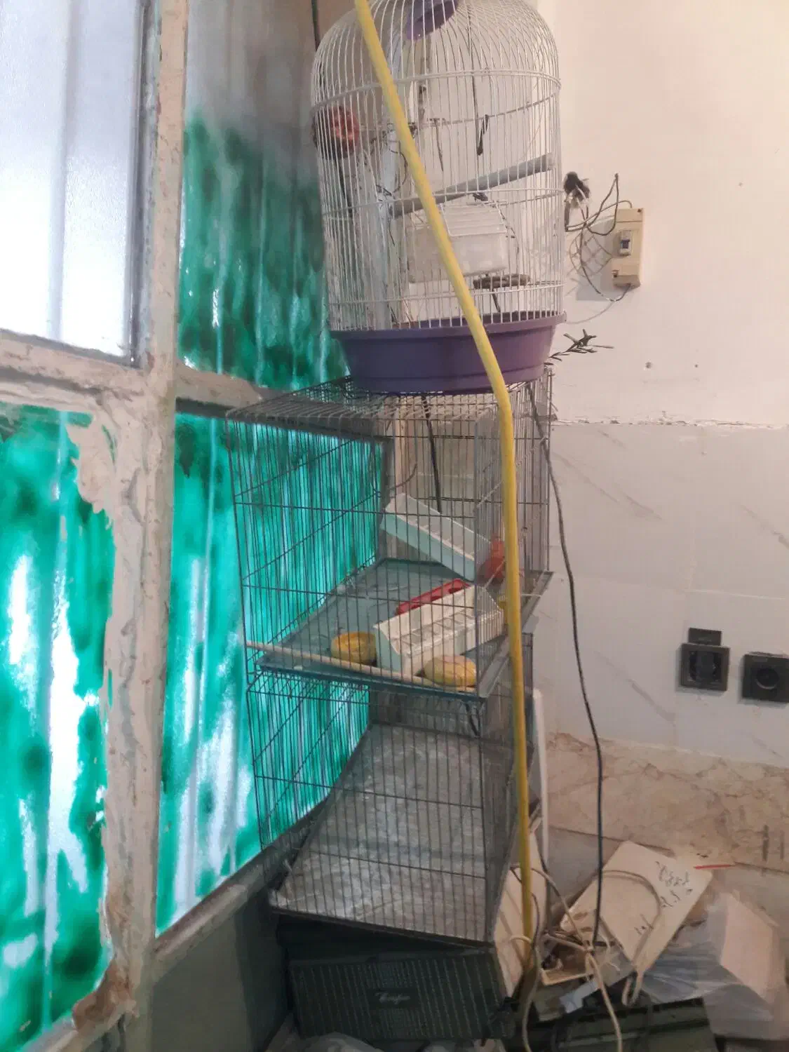 ۳ عدد قفس تمیز|پرنده|قم, انسجام|دیوار