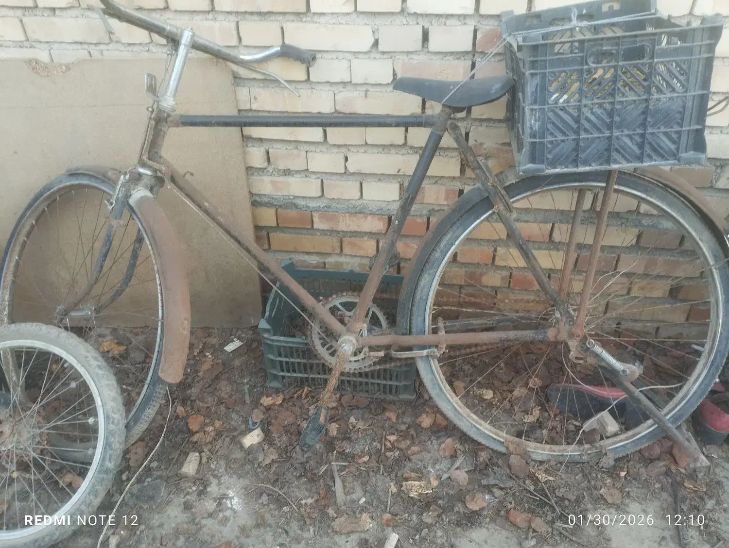 دوچرخه 24 و 26 و 28|دوچرخه، اسکیت، اسکوتر|گنبد کاووس, |دیوار