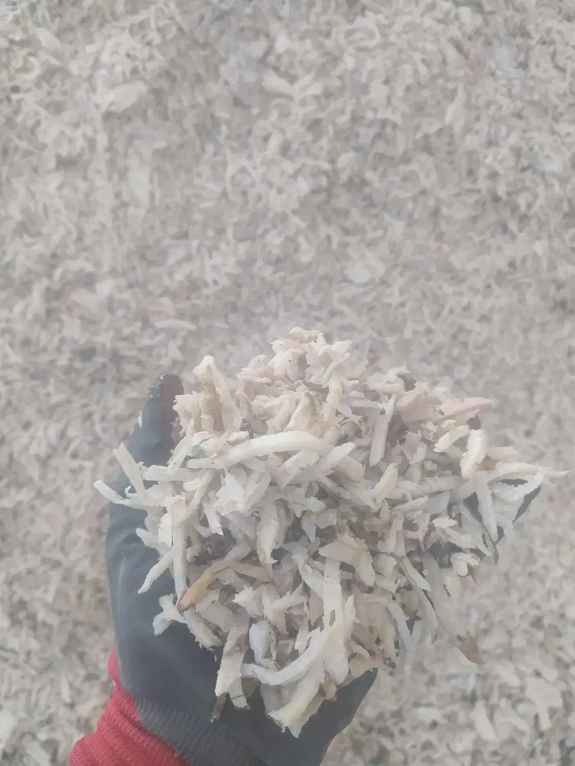 تفاله در و دونم|لوازم جانبی حیوانات|جوین, |دیوار