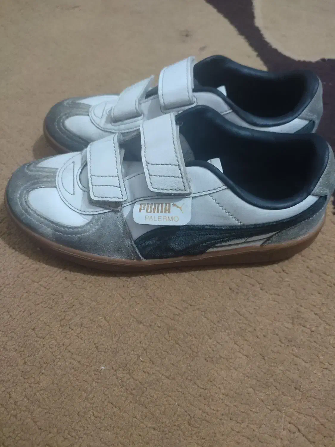 کفش پوما|کیف، کفش، کمربند|شیراز, ابیوردی|دیوار