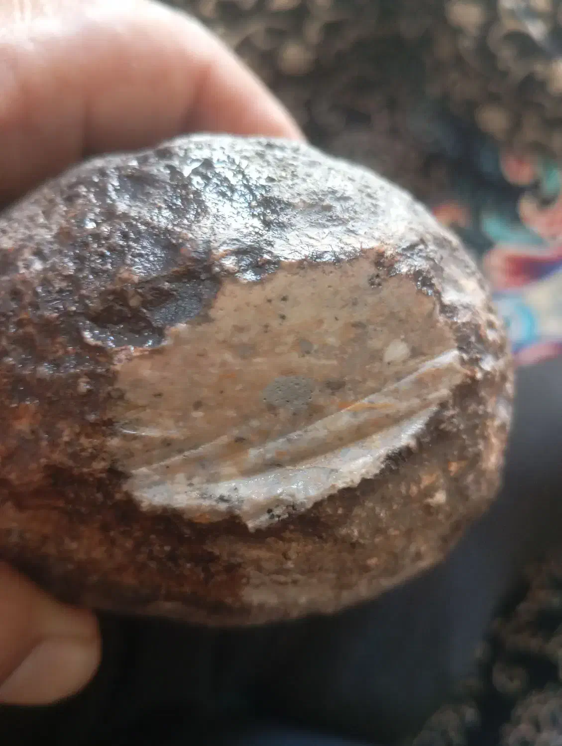 شهاب سنگ با شناسنامه|کلکسیون اشیاء عتیقه|سیرجان, |دیوار