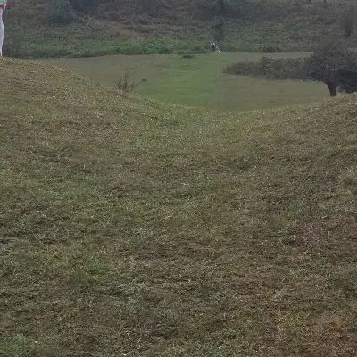 فروش زمین باغ شهری|فروش زمین و ملک کلنگی|وراوی, |دیوار