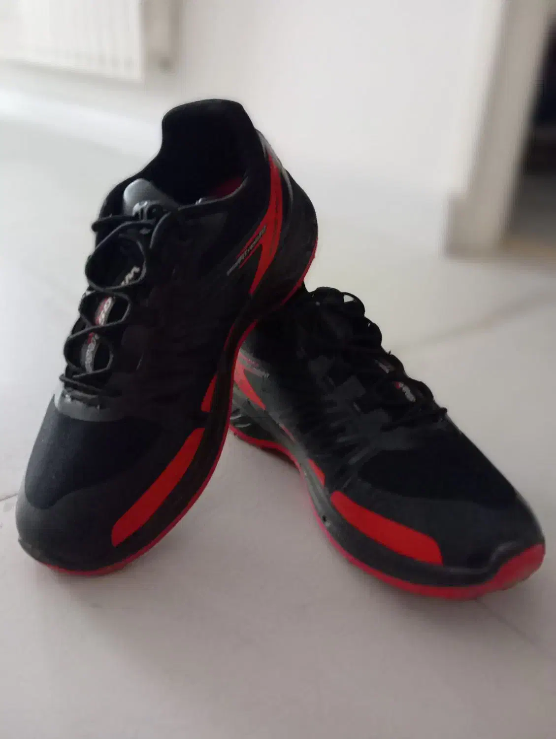 کتانی|کیف، کفش، کمربند|میانه, |دیوار