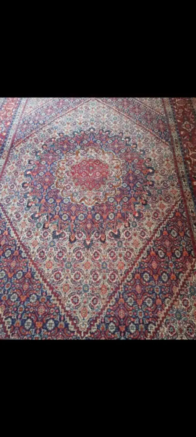 فرش دستباف مود|فرش|بیرجند, |دیوار