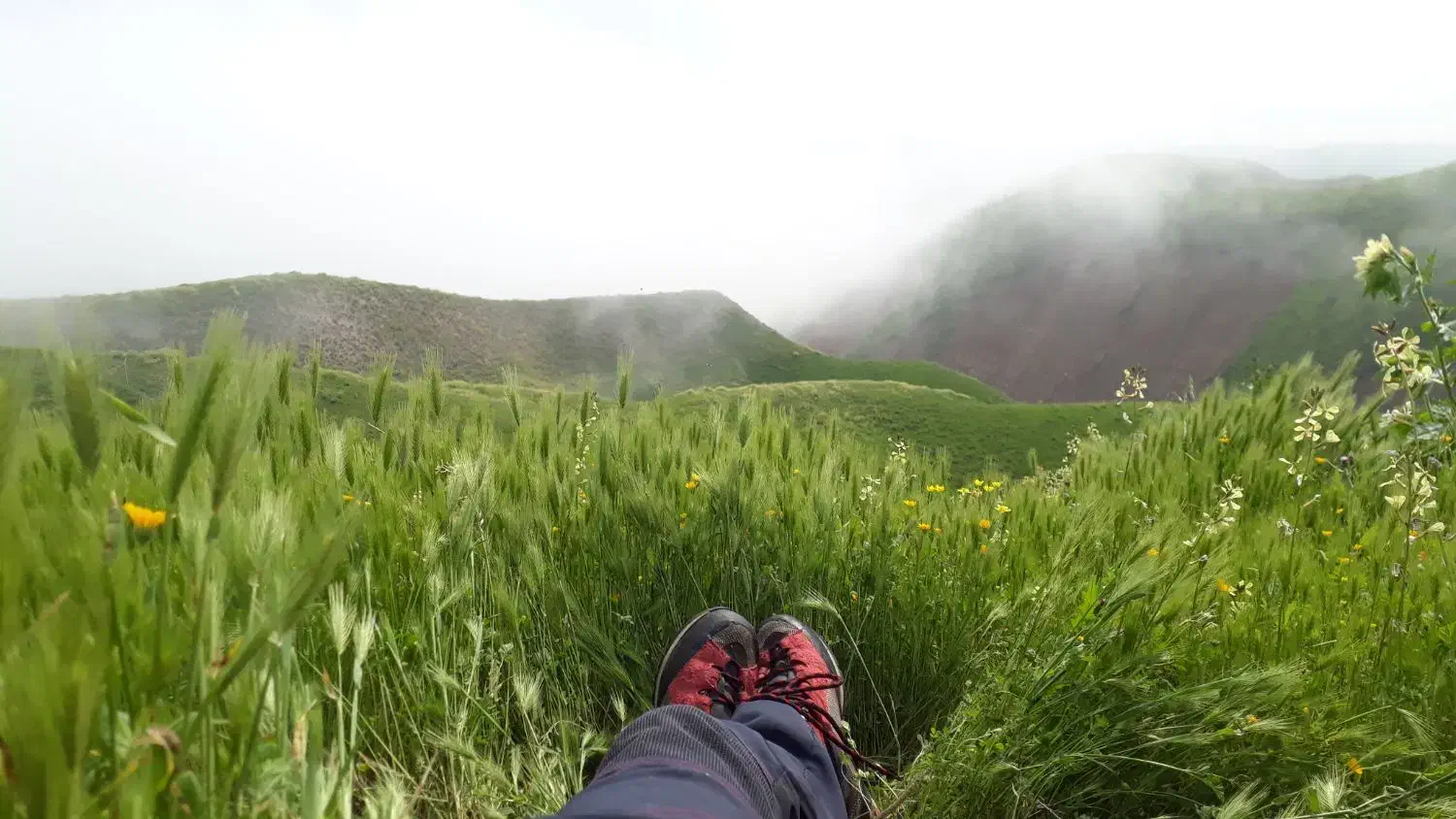 همپا|فعالیت داوطلبانه|گرگان, |دیوار