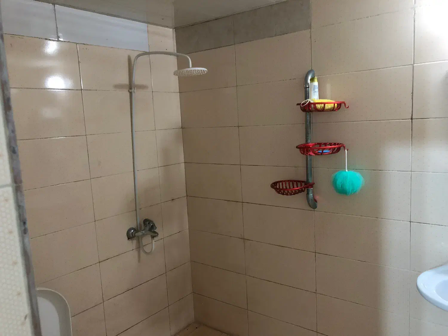 سوییت و باغ|اجارهٔ کوتاه‌مدت آپارتمان و سوئیت|خمام, |دیوار