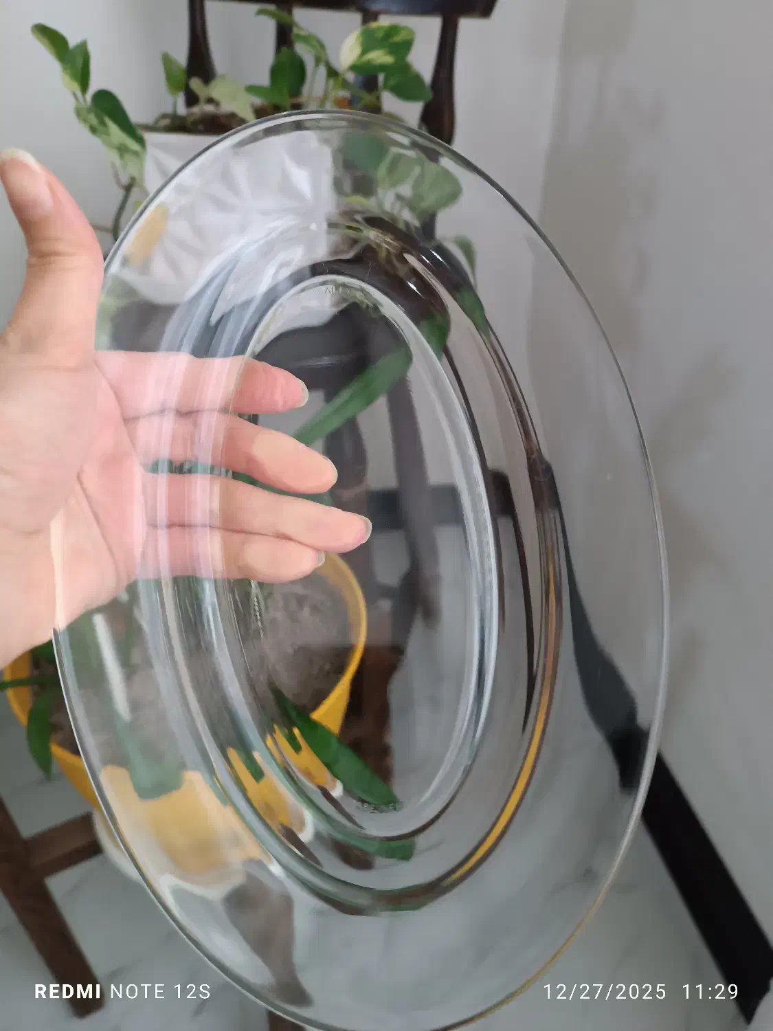 ظرف|ظروف سرو و پذیرایی|آمل, |دیوار