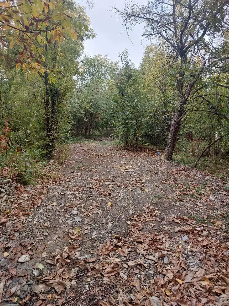باغچه نقلی ۲۵۰ متری داخل شهرگلمکان|فروش خانه و ویلا|گلمکان, |دیوار