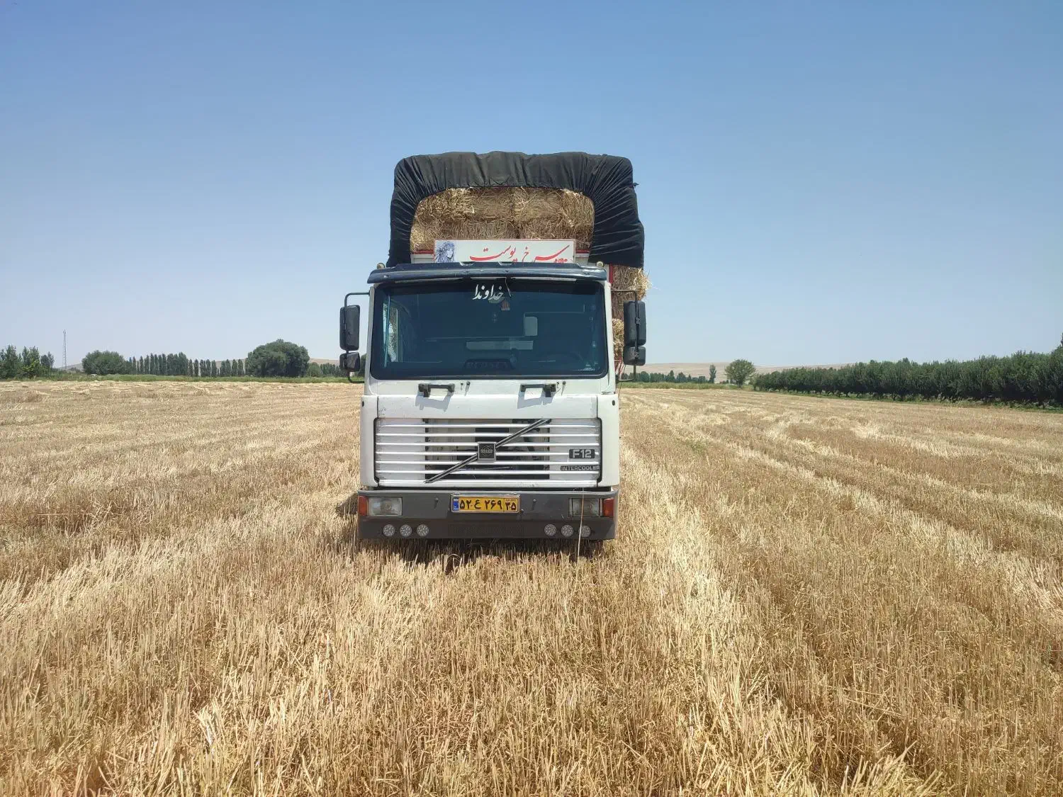 تفاله چغندر قند ملاس دار علوفه ذرت|عمدهفروشی|سراب, |دیوار