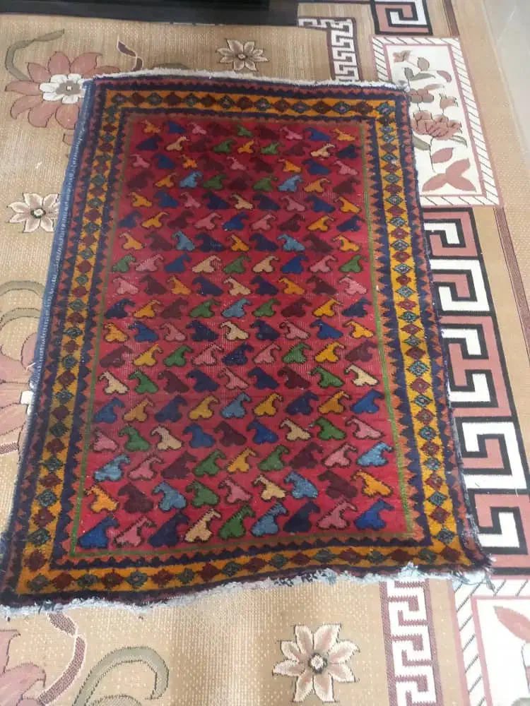 ظرف نو و در حد نو|ظروف سرو و پذیرایی|یزد, |دیوار