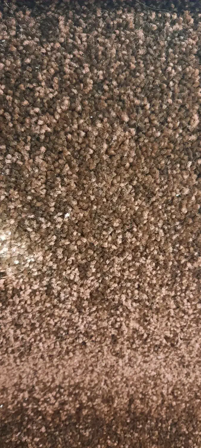 موکت خام بلند|موکت|بندر گناوه, |دیوار