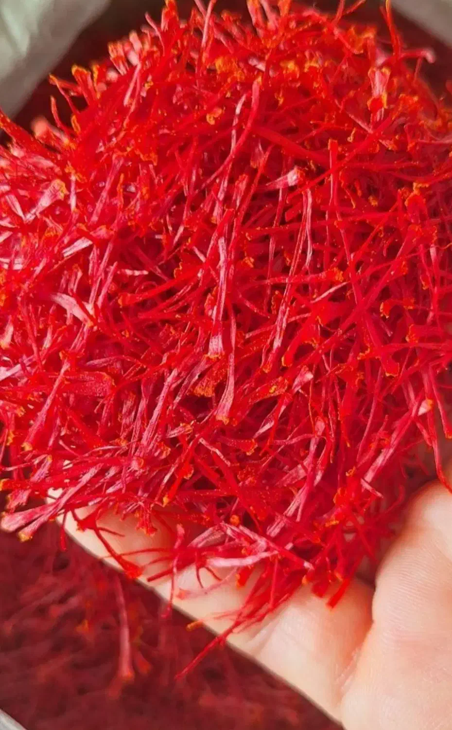 انواع زعفران سرگل نگین ممتاز مشهد|خوردنی و آشامیدنی|چابهار, |دیوار