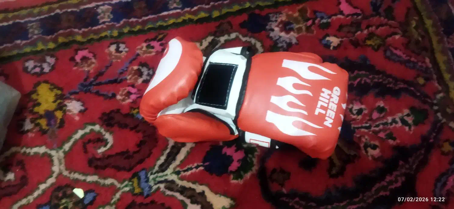 دستکش بوکس|تجهیزات ورزشی|قم, چهل درخت‎|دیوار