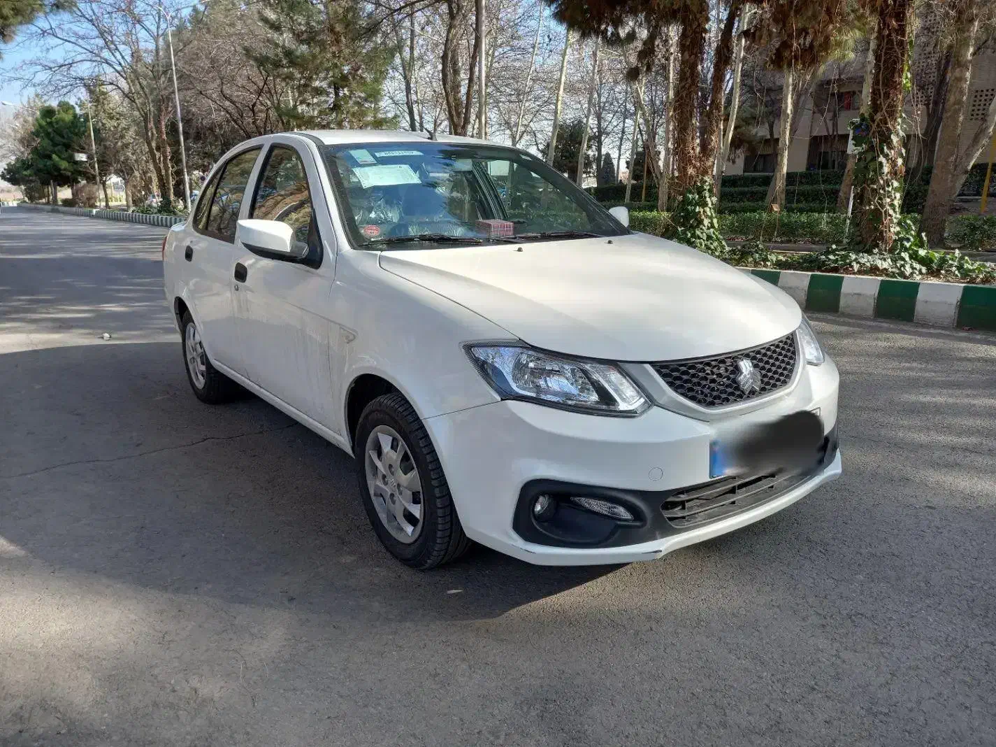 ساینا S|خودرو سواری و وانت|تربتحیدریه, قائم|دیوار