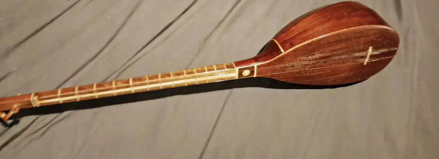 تنبور پاشنه ای کلانتری سالم  پاشنه ای کلانتری سالم|سازهای سنتی|تهران, سازمان برنامه جنوبی|دیوار