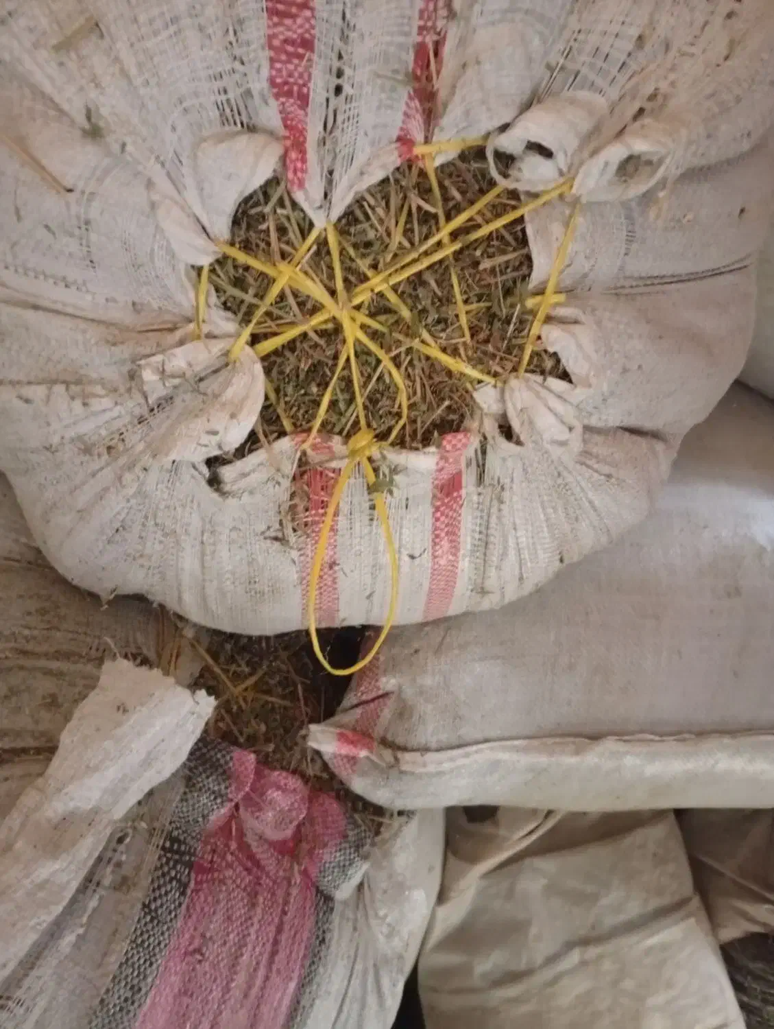 یونجه خرمنکوبی|لوازم جانبی حیوانات|نهاوند, |دیوار