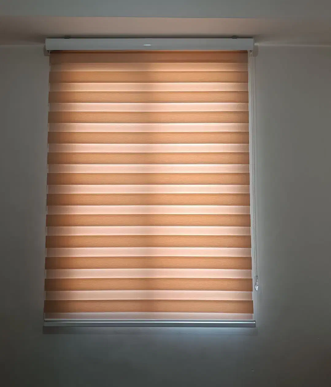 دو عدد رنگ کرم|پرده، رانر، رومیزی|ساری, |دیوار