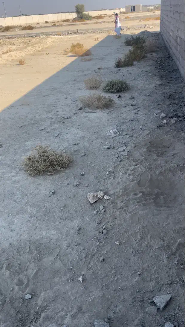 زمین ۲۵۰ متری زیباشهر خیابان اسپندار|فروش زمین و ملک کلنگی|ایرانشهر, |دیوار