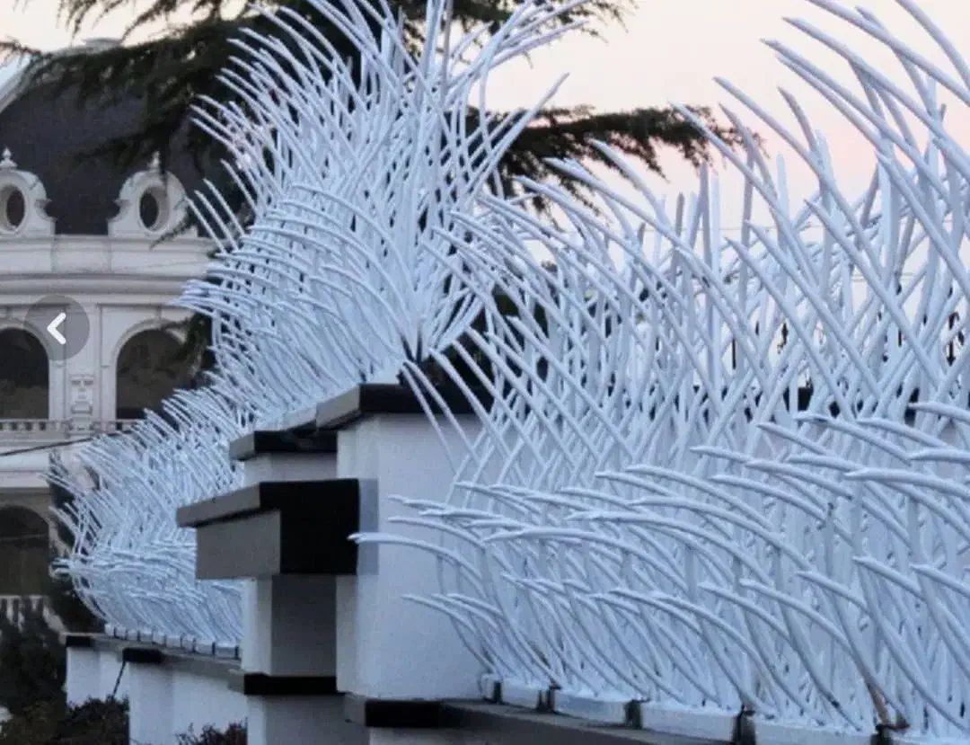 حفاظ تولید حفاظ شاخ گوزنی|عمدهفروشی|کرج, کارخانه قند|دیوار