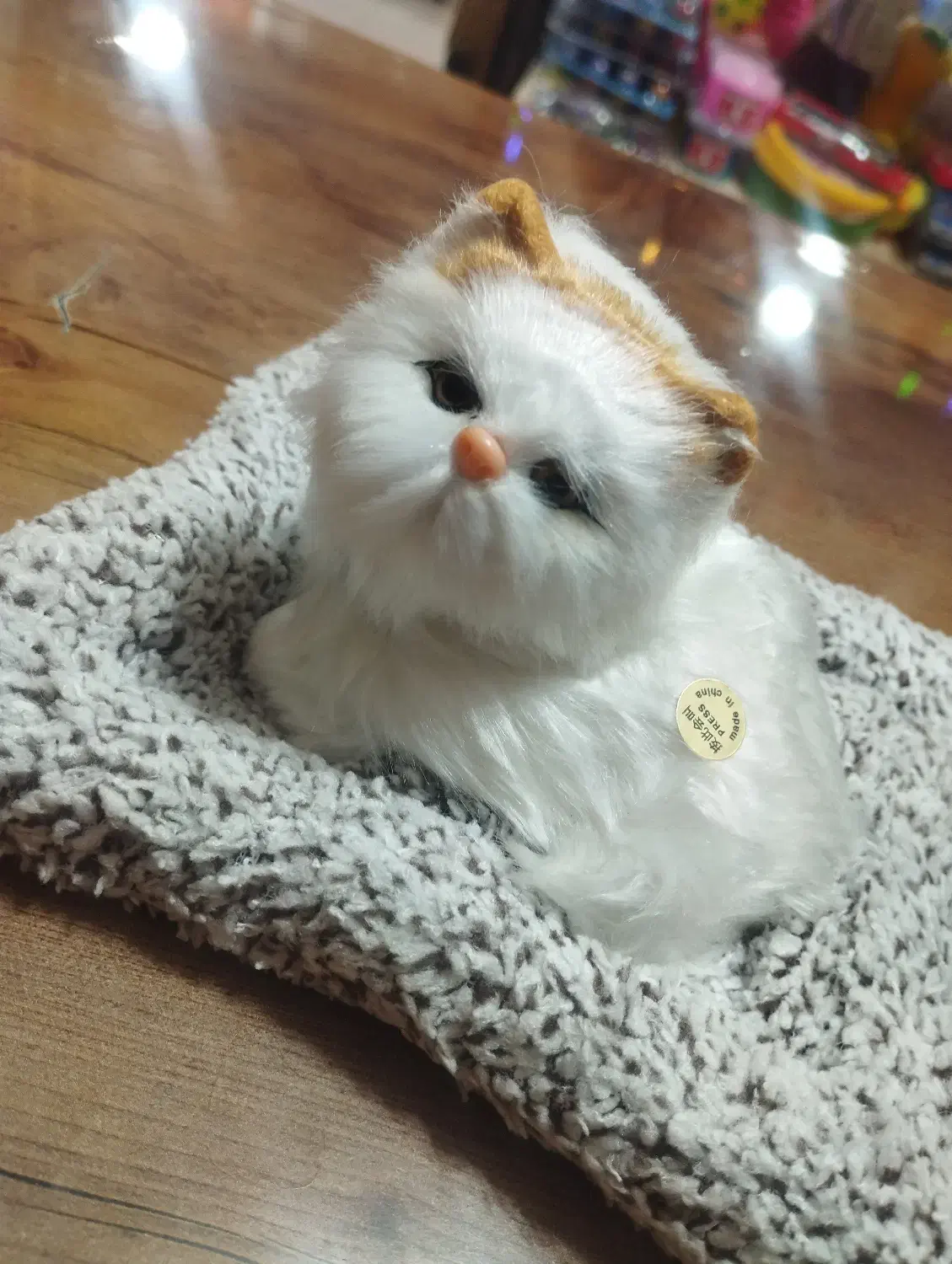 گربه ی صدا دار انواع رنگ برای تولد و انواع مناسبت|اسباببازی|مهاباد (آذربایجان غربی), |دیوار