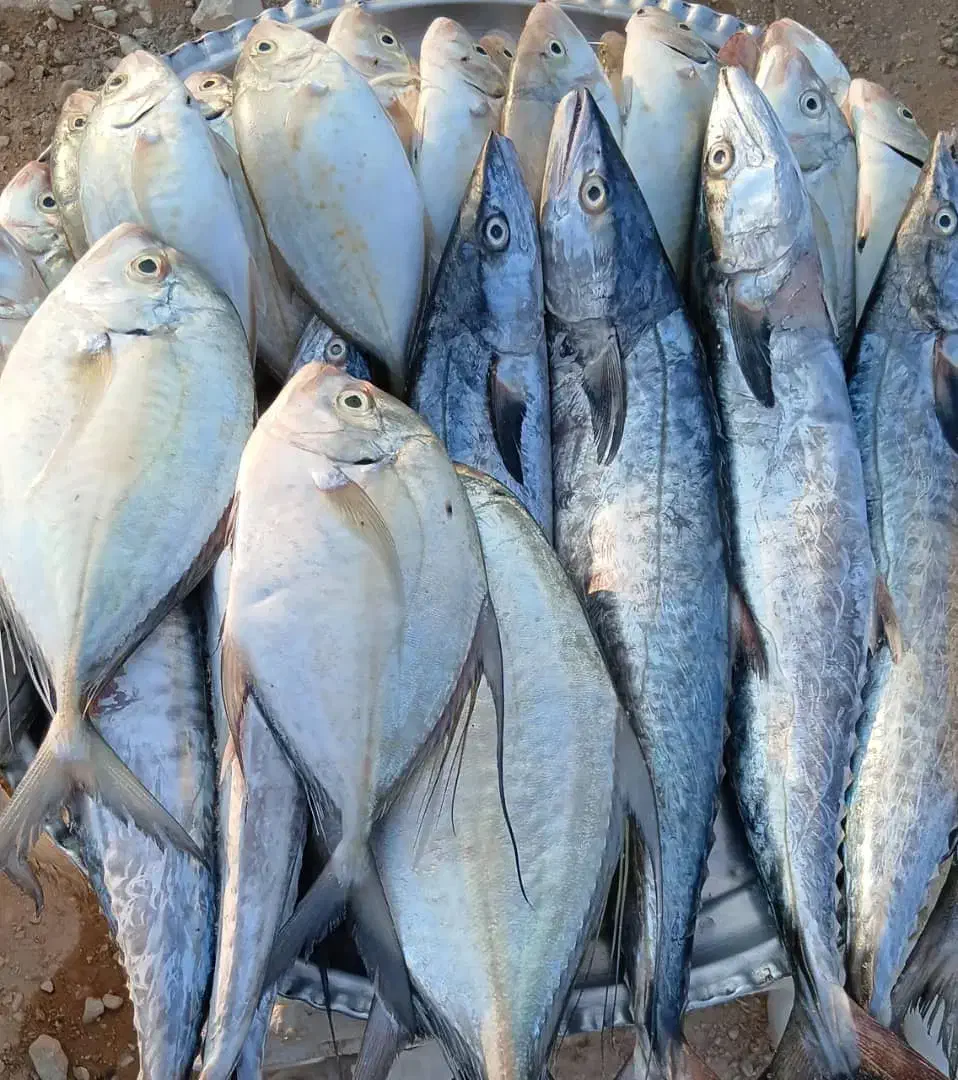 ماهی فروشی ناخدا|خوردنی و آشامیدنی|فولادشهر, B7|دیوار