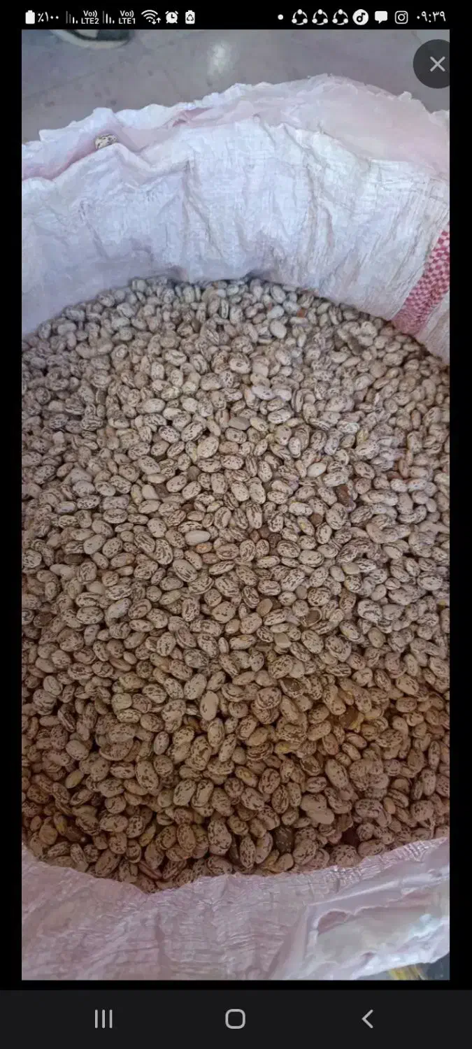 لوبیا چیتی و محلی|خوردنی و آشامیدنی|اصفهان, دانشگاه افسری امیرالمومنین|دیوار