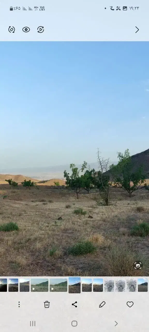 زمین هکتاری برای مرغداری، شترمرغ و... نزدیک شهر|فروش زمین و ملک کلنگی|بیرجند, |دیوار