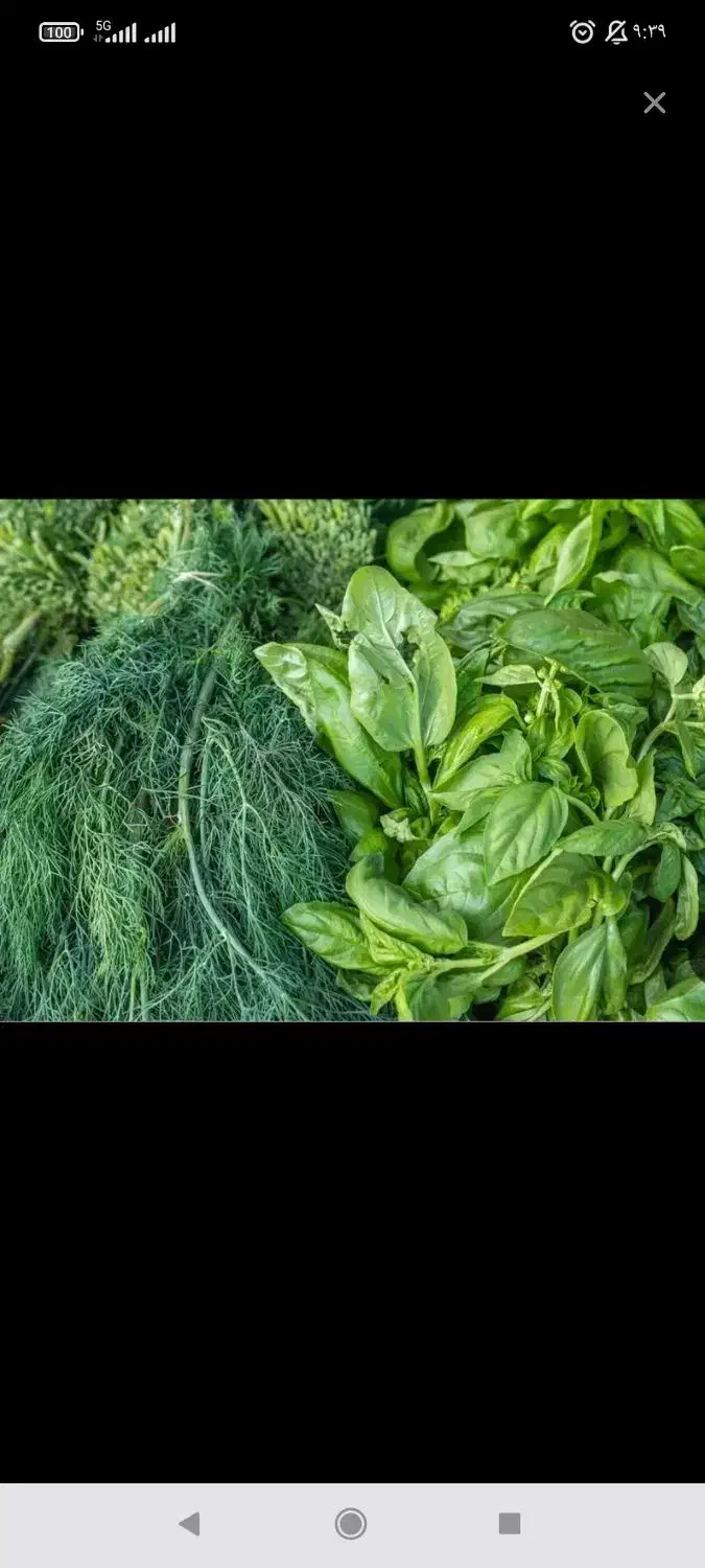 پاک کردن سبزی در منزل|خدمات نظافت|داراب, |دیوار