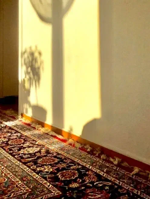 اجاره واحد ۱۲۵ متری|اجارهٔ آپارتمان|شیراز, میدان قائم|دیوار