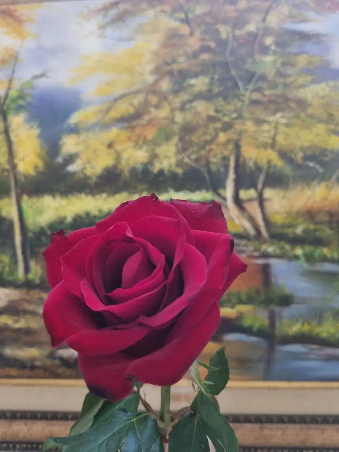 آموزش ۱۰ جلسه ای مکالمه زبان انگلیسی|خدمات آموزشی|تهران, سید خندان (جلفا)|دیوار