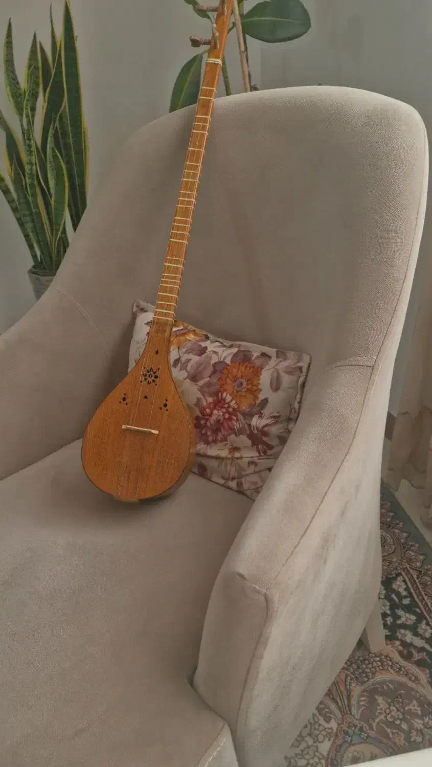 ساز سهتار مفاخری به همراه کیف|سازهای سنتی|رشت, چمارسرا|دیوار