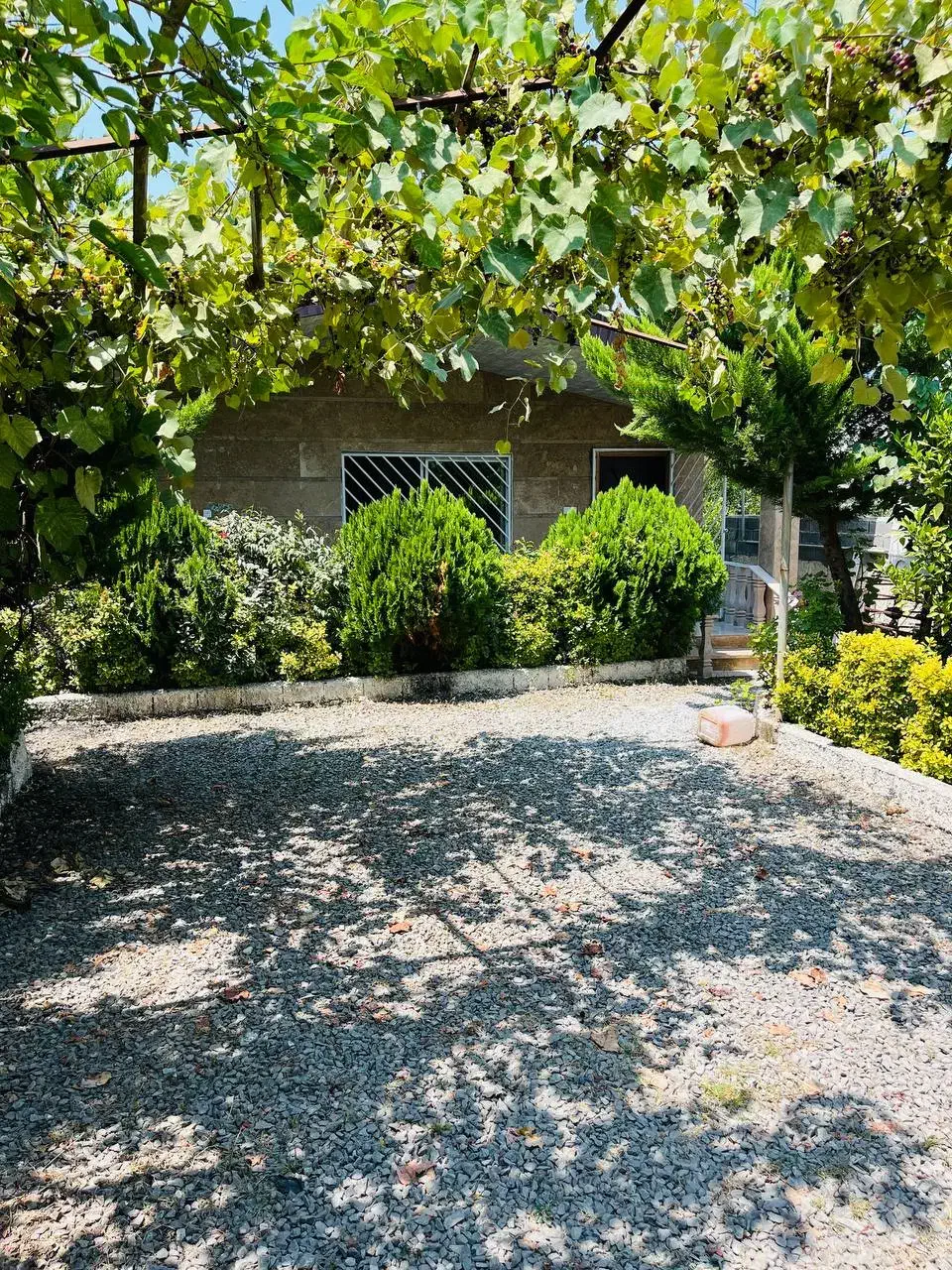 ویلا تو دل جنگل میخوای فقط کافیه بهم زنگ بزنی|فروش خانه و ویلا|محمودآباد, |دیوار