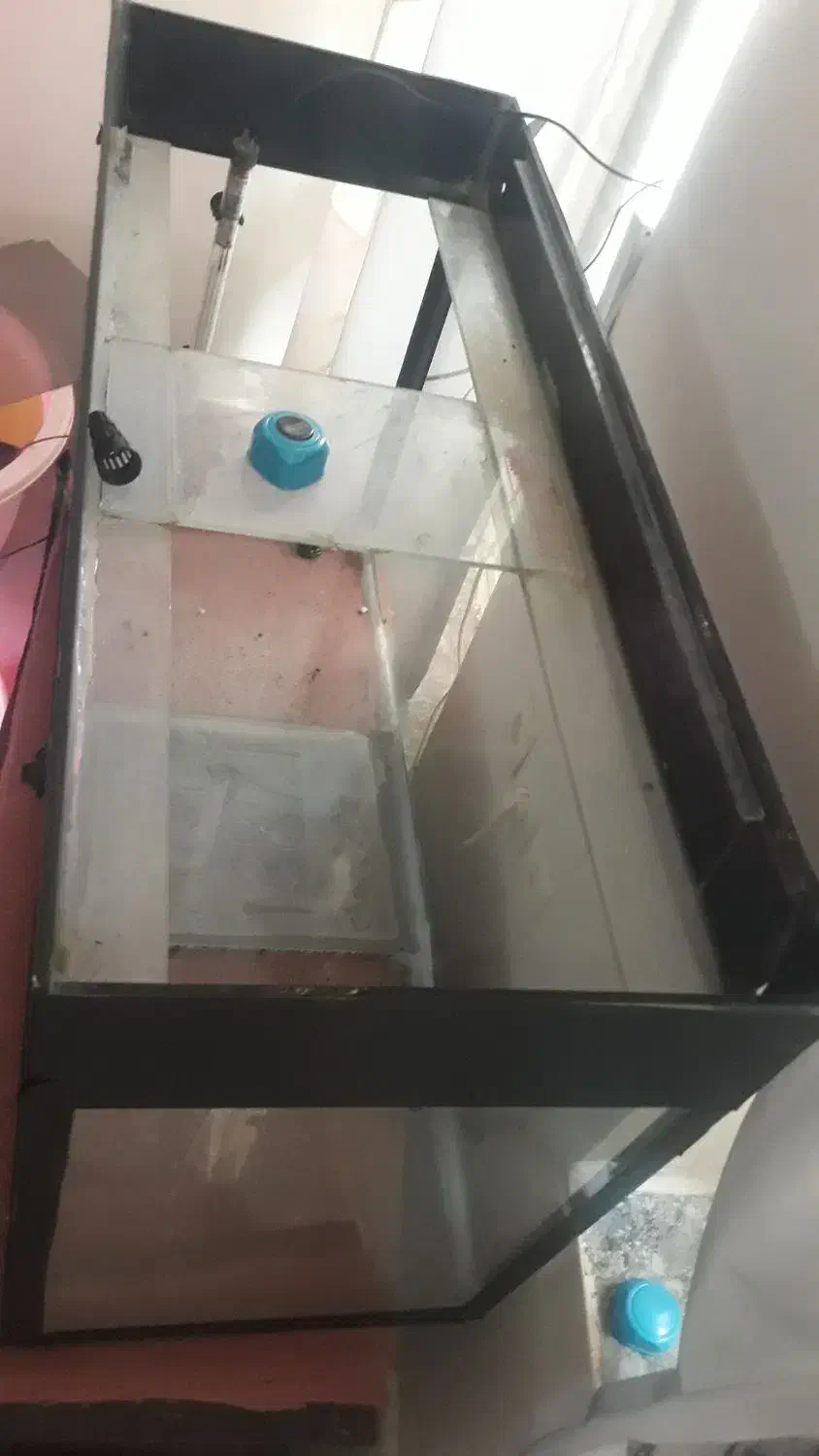 آکواریوم.|ماهی|خرمآباد, |دیوار