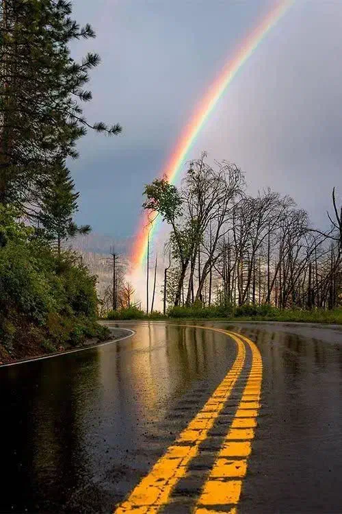 مغازه اجارهجادهتهران|اجارهٔ مغازه و غرفه|معصومیه, |دیوار