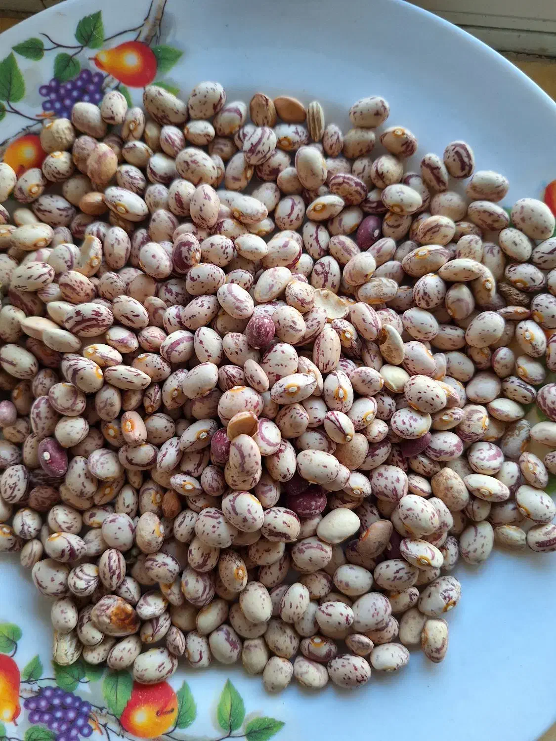لوبیا چیتی و برنج کامفیروز|خوردنی و آشامیدنی|یزد, |دیوار