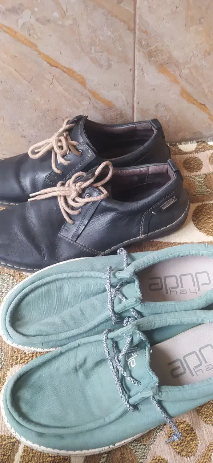 کفش مردانه|کیف، کفش، کمربند|سنندج, |دیوار