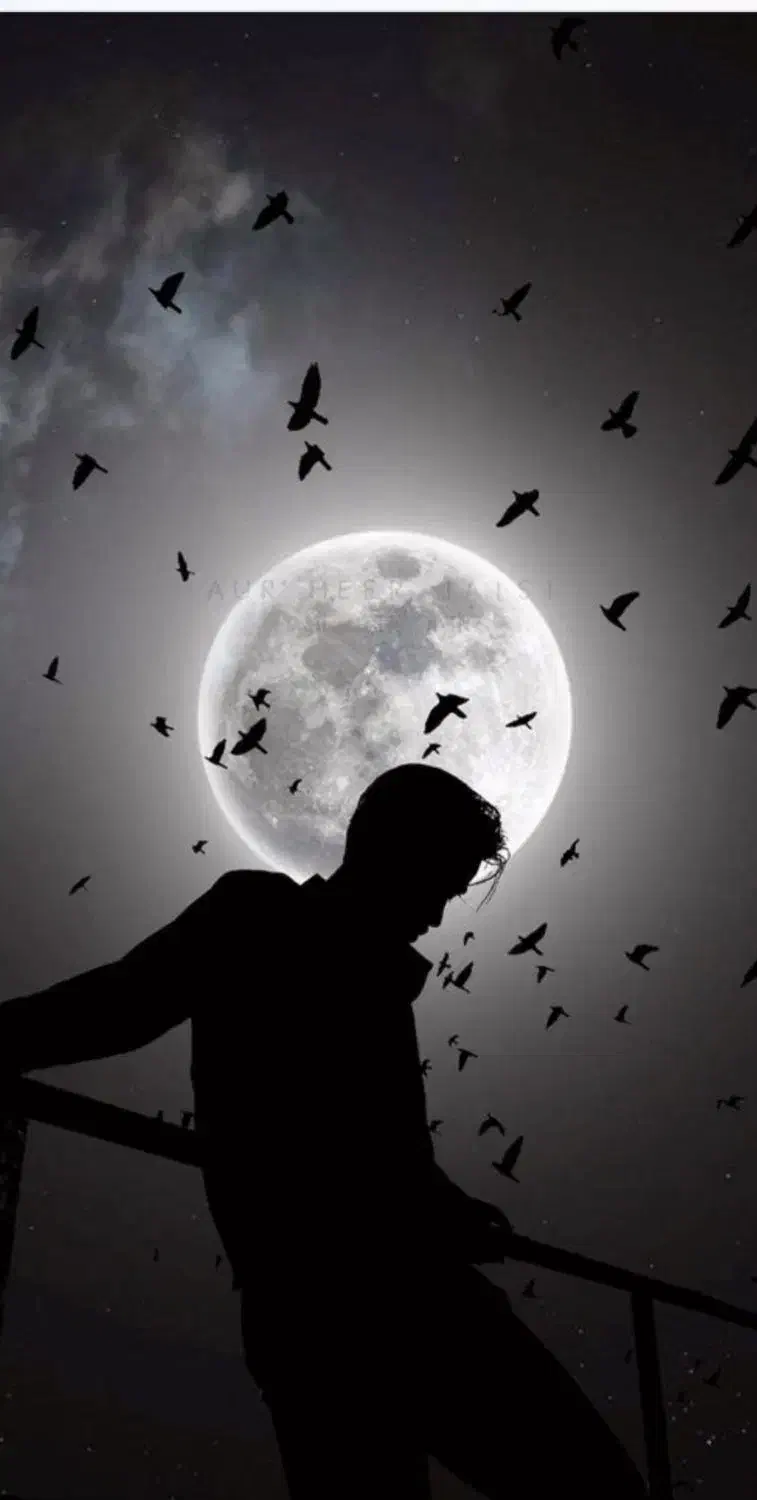 داوطلب|فعالیت داوطلبانه تحقیقاتی|تبریز, |دیوار