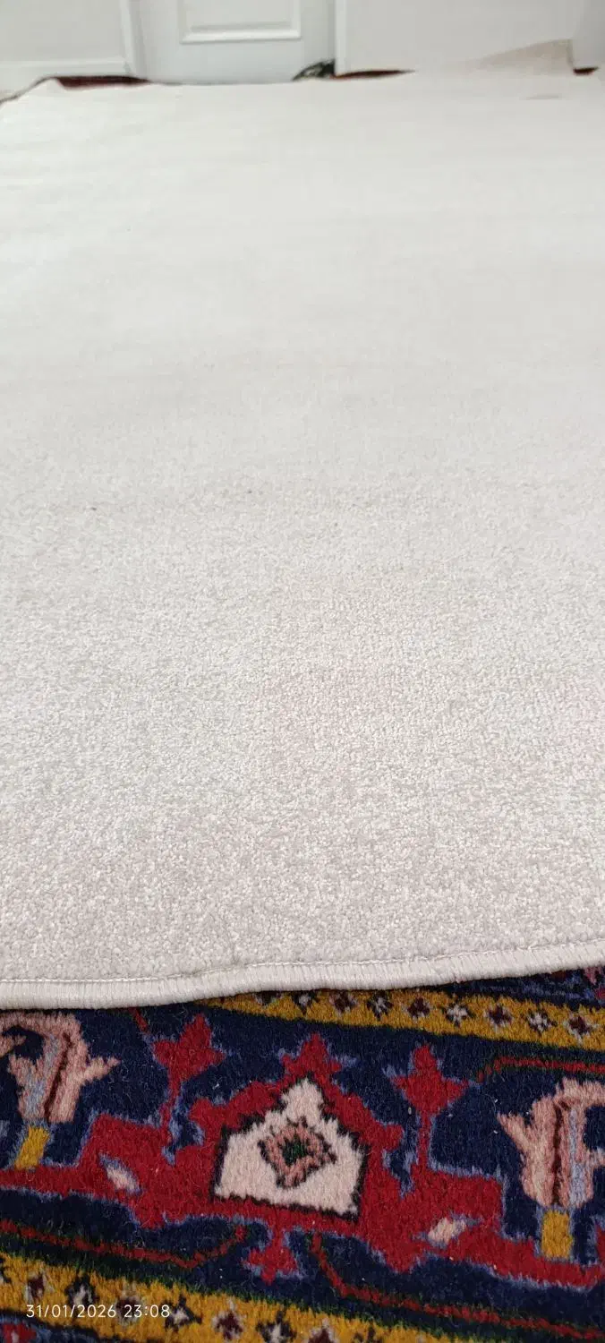 موکت|موکت|پارس‌آباد, |دیوار